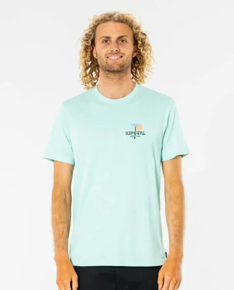Nasal Perch Tee Mens Tees & Tanks Rip Curl