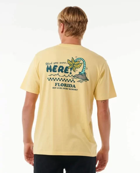 Rip Curl Mens Wish You Were Here Desto Tee Tees & Tanks - Image 3