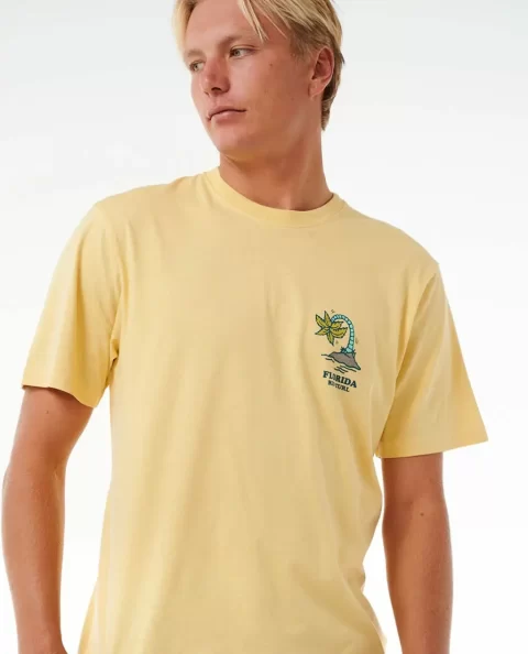 Rip Curl Mens Wish You Were Here Desto Tee Tees & Tanks