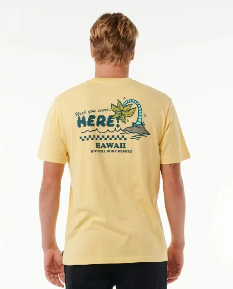 Wish You Were Here Desto Tee Mens Tees & Tanks Rip Curl - Image 3