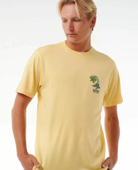 Wish You Were Here Desto Tee Mens Tees & Tanks Rip Curl